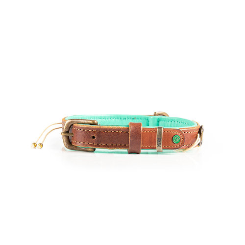 Gold Indi Moon Dog Collar With Beads - Dog with a Mission