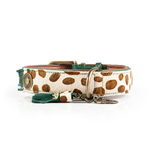 Ivy dog collar with animal print - Dog with a Mission