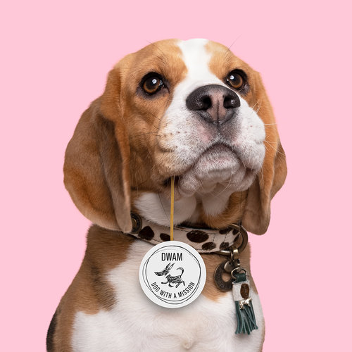 Ivy hondenhalsband met dierenprint - Dog with a Mission