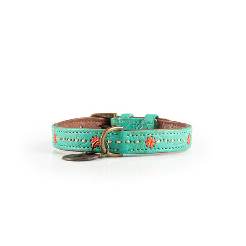 Janis Dog Collar Turquoise - Dog with a Mission