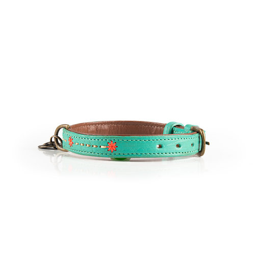 Janis Dog Collar Turquoise - Dog with a Mission