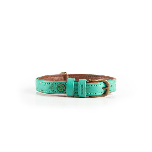 Janis Dog Collar Turquoise - Dog with a Mission