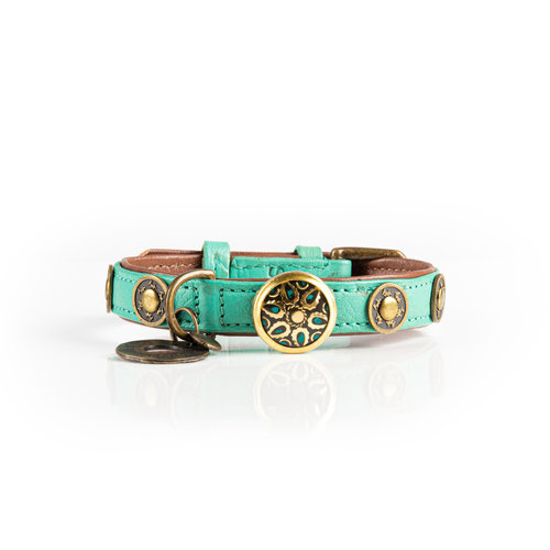 Rebel Collier pour chien turquoise