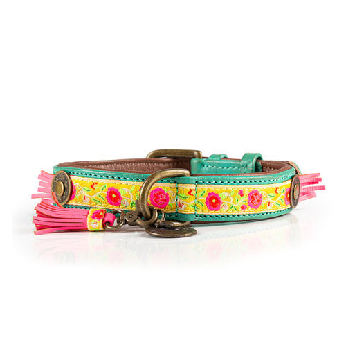Dog with a Mission Lotus Collar