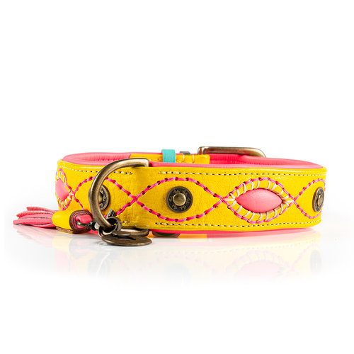 DWAM Dog with a Mission Halsband Hond – Hondenhalsband – Geel