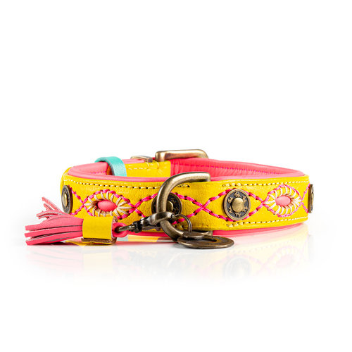 Jessy Yellow Collar