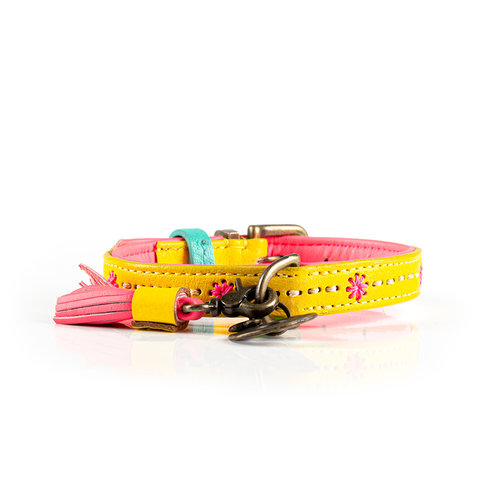 Jessy Yellow Collar