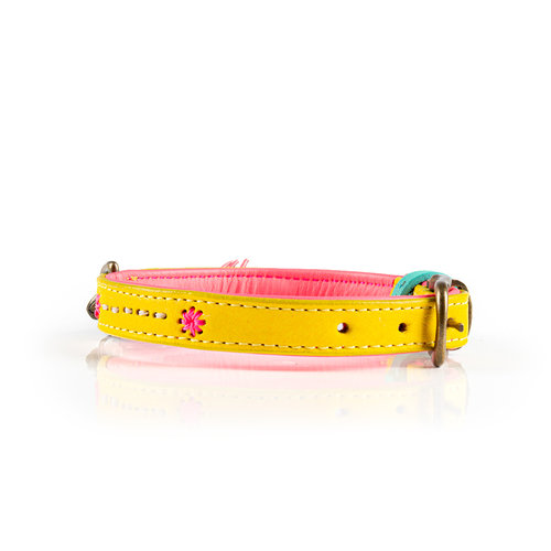 Jessy Yellow Collar