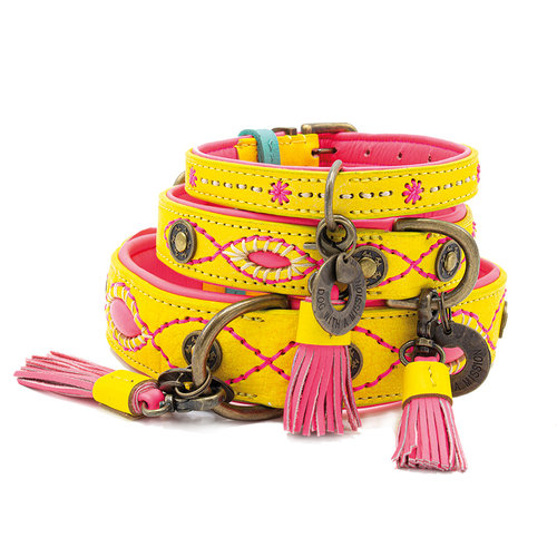 DWAM Dog with a Mission Halsband Hond – Hondenhalsband – Geel