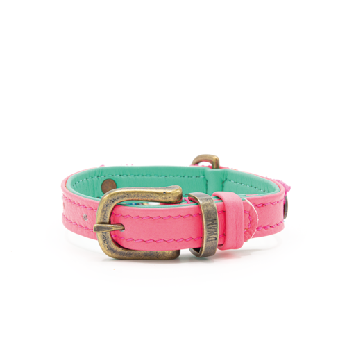 Molly Mini Dog Halsband