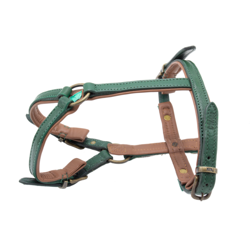 Ivy Dog Harness