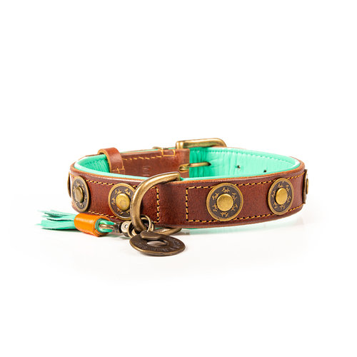 Robustes braunes Urban Collar - Dog with a Mission