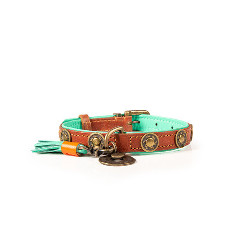 Collier urban marron résistant - Dog with a Mission