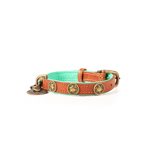 Robustes braunes Urban Collar - Dog with a Mission