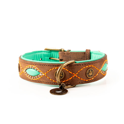 Tough leather dog collar brown with turquoise - Dog with a Mission