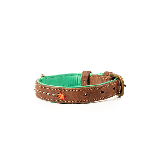 Tough leather dog collar brown with turquoise - Dog with a Mission