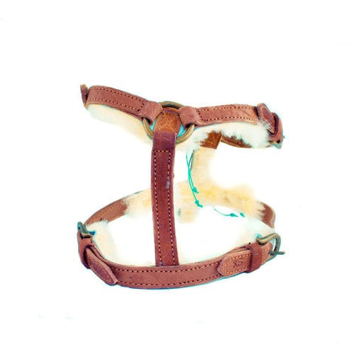 Dog with a Mission Paddy Lee Dog Harness
