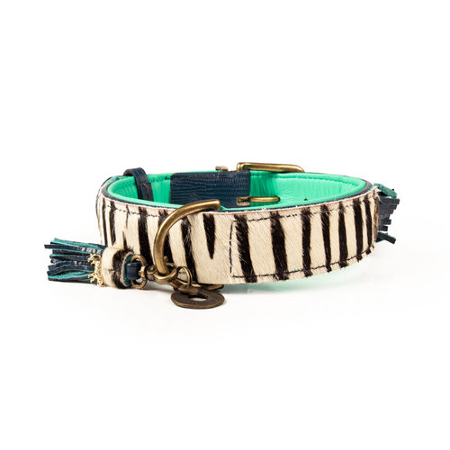 Zara Hundehalsband Zebra - Dog with a Mission