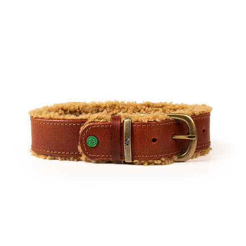 Leather Teddy Collar Brown - Dog with a Mission