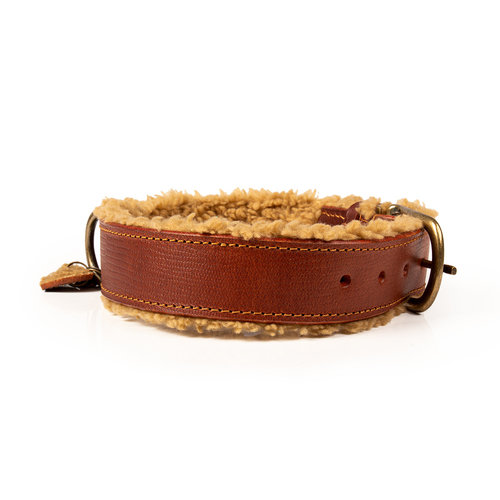 Leather Teddy Collar Brown - Dog with a Mission