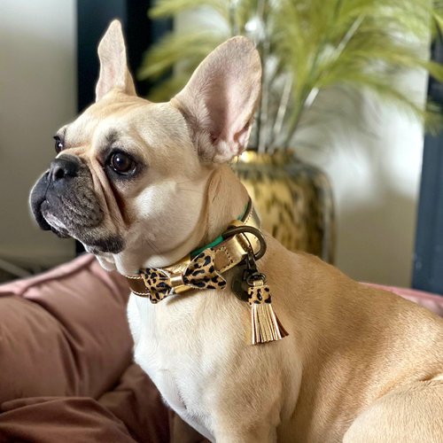 Bling Hundehalsband