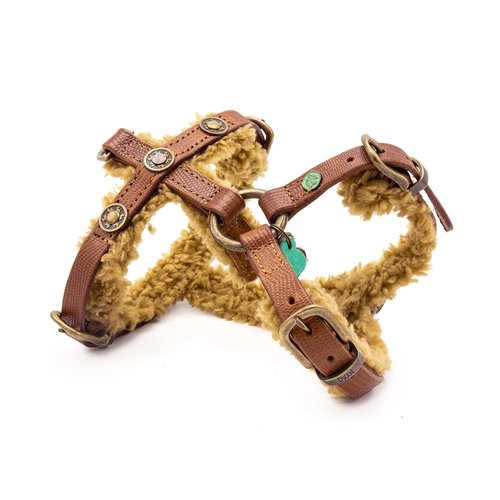 Teddy Dog Harness