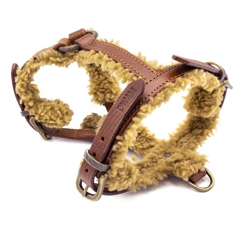 Teddy Dog Harness