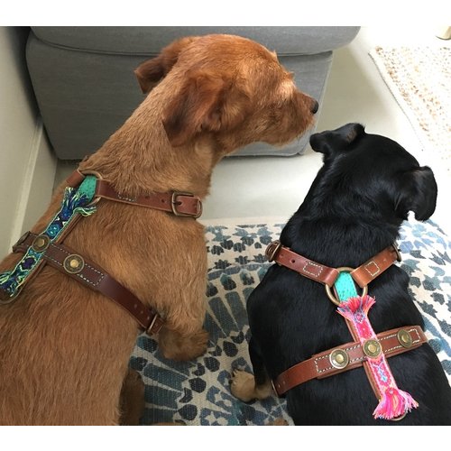 Boho Juan Dog Harness