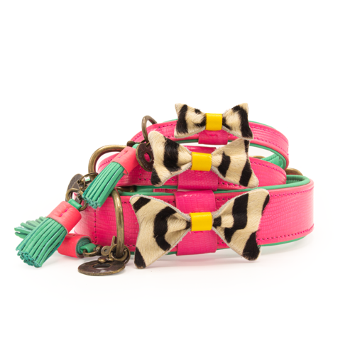 Blossom Dog Collar