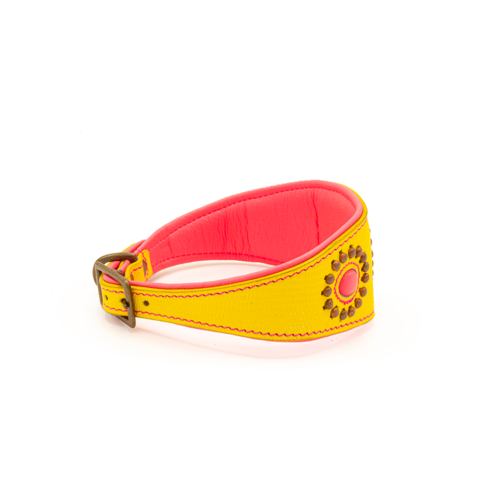 Jessy Halsband Windhund