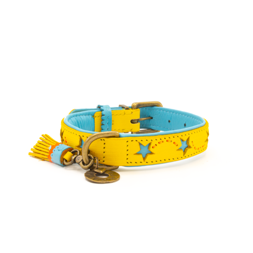 Dog with a Mission Blue Star  Halsband