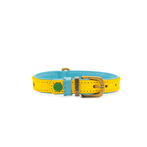 Leather Blue Star Dog Collar Yellow - Dog with a Mission