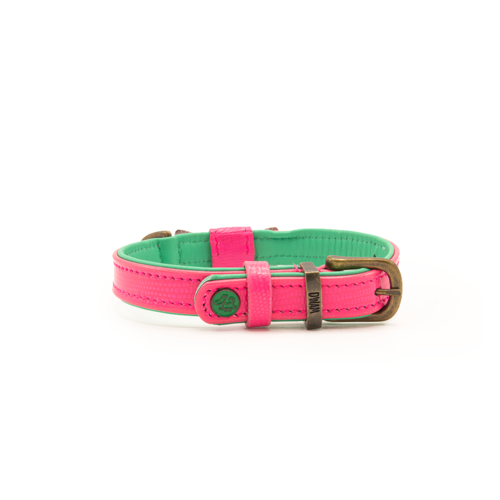 Blossom Dog Collar