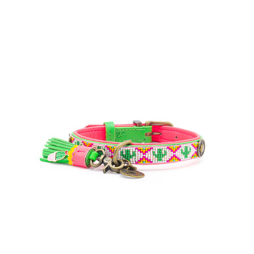 Green Tropical Summer Dog Collar with Beads - Dog with a Mission