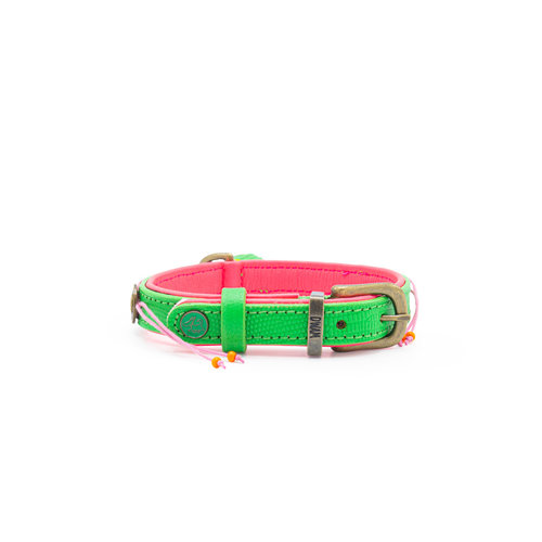 Green Tropical Summer Dog Collar with Beads - Dog with a Mission