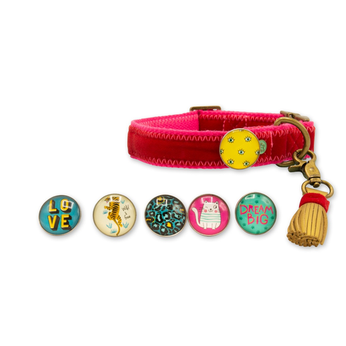 Snoopy Dog collar and leash set