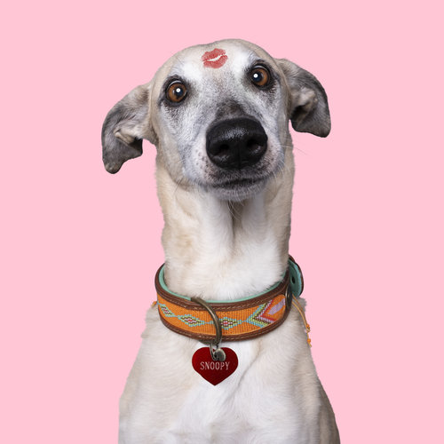 Médaille de chien coeur orange L