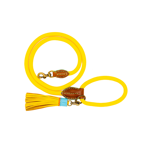 Dog with a Mission CLASSIC SUNNY DOG LEASH