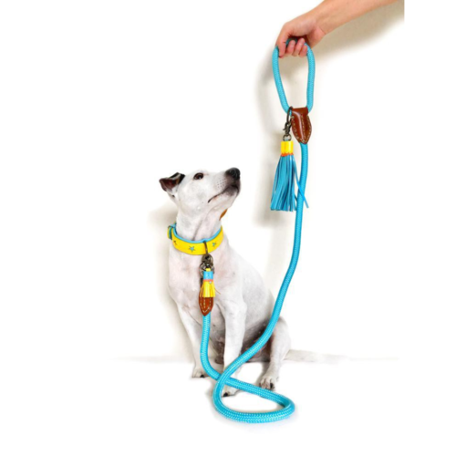 Leren Blue Star Hondenhalsband Geel - Dog with a Mission