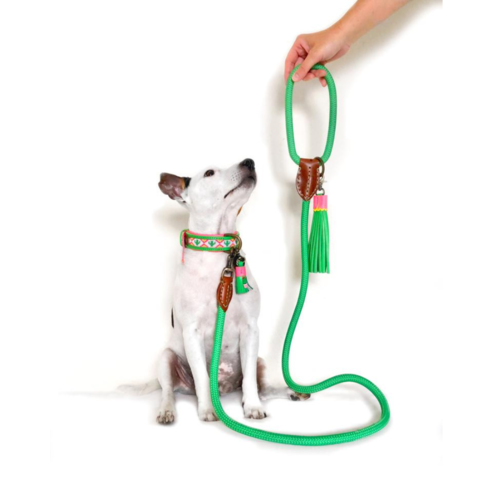 Groene Tropical Summer Hondenhalsband met Kralen - Dog with a Mission