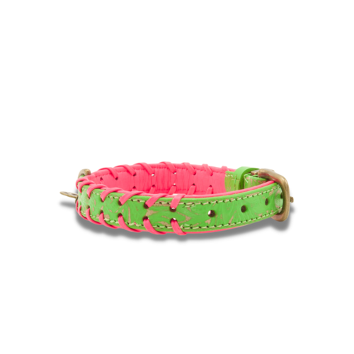 Georgia Dog Collar