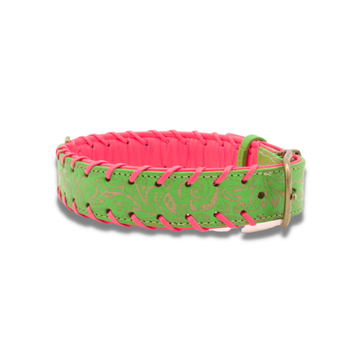 Georgia Dog Collar