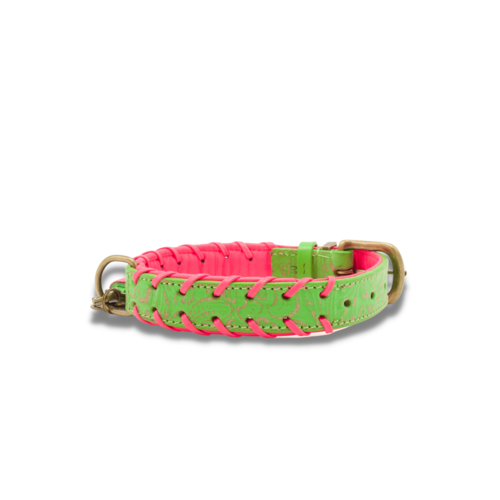 Georgia Dog Collar