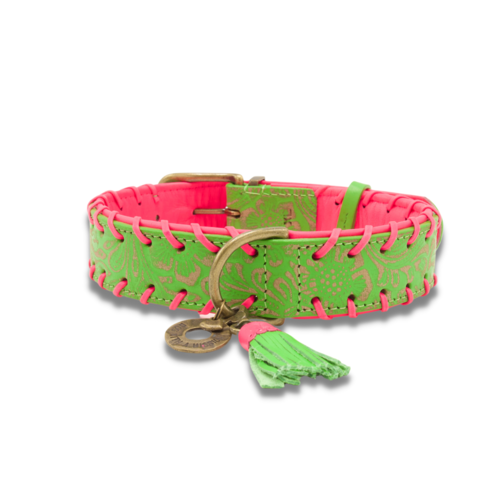 Georgia Dog Collar