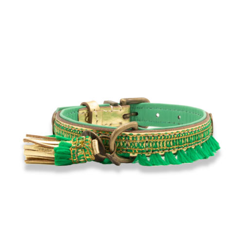 Green Party Animal Christmas Collar - Dog with a Mission