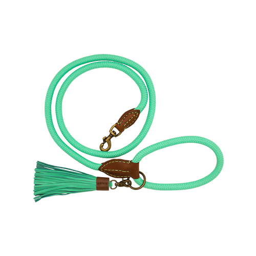 Jade turquoise dog leash