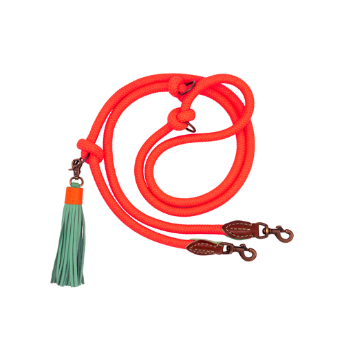 Extra Long Carrot Cake Dog Leash