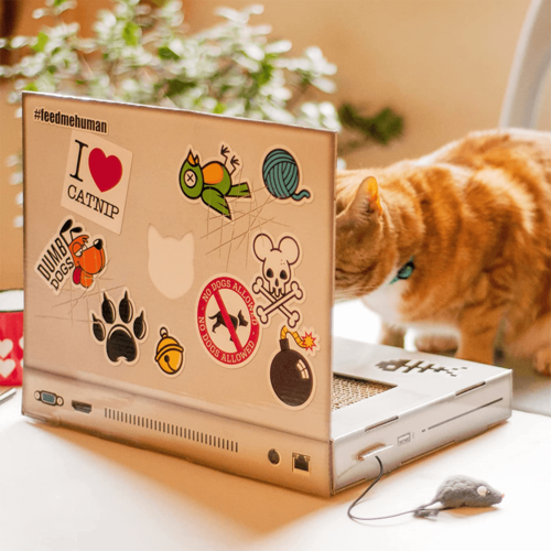 LL Cat Laptop
