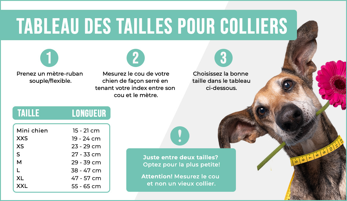 Tableau des tailles