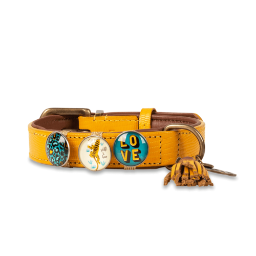 Collier pour chien New York Yankee jaune - Dog with a Mission